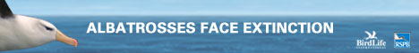 'save the albatross' logo