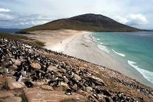 The Neck on Saunders Island