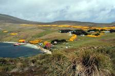 the settlement at Westpoint Island