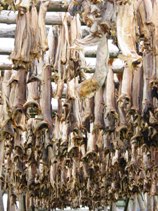 dried cod
